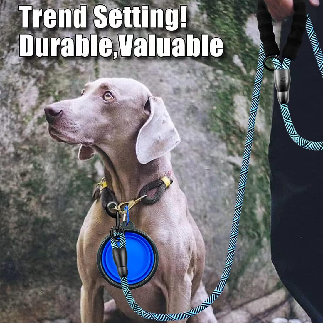 Premium 5FT/6FT Thick Durable Nylon Dog Leash with Comfortable Padded Handle and Reflective Rope, Includes Collapsible Pet Bowl and Waste Bags for Medium to Large Dogs (Flower Blue 1/2 X 6FT)